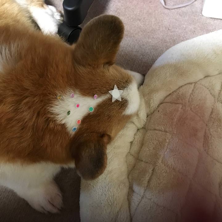 99bf2e6a 6564 4d6c bc0f baf37d856272 1545569623790