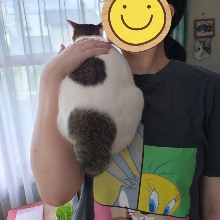 99bf3f3f a426 4fa9 8ebf f6b49d17caf3 1757830345683