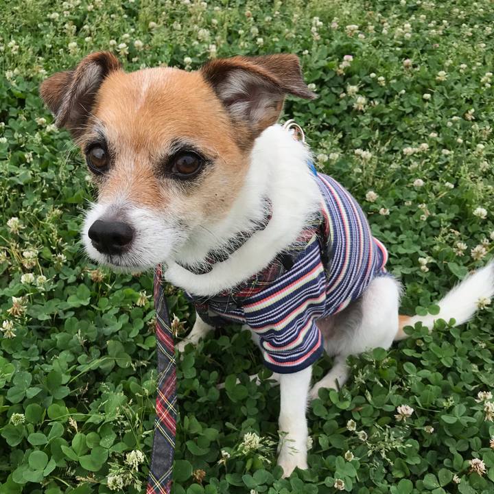 99bf5672 ec90 4f59 9d97 7647ea21db49 1559512277916