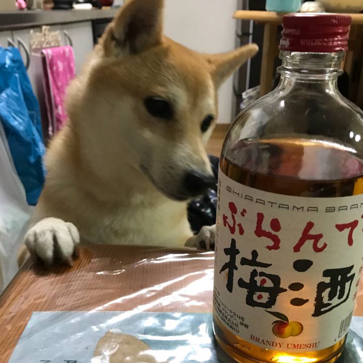 99bf8f10 3c25 4597 9584 bf9994f67e36 1515840626242