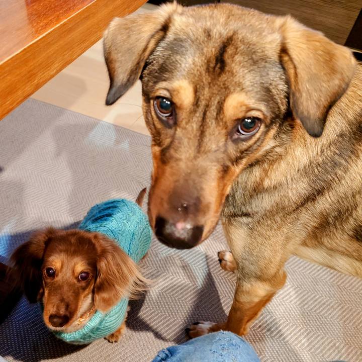 99bfa96d 7e1a 44ec 8e72 fffef2149d63 1736435113102