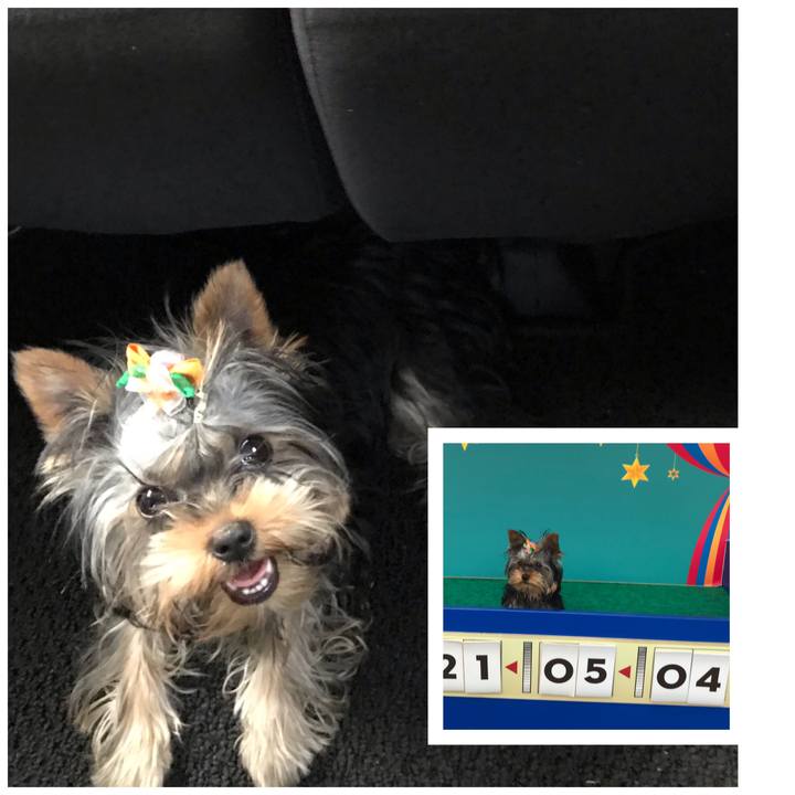 99c01dce 741d 4bdf afed 487f963dfe0f 1620115558999