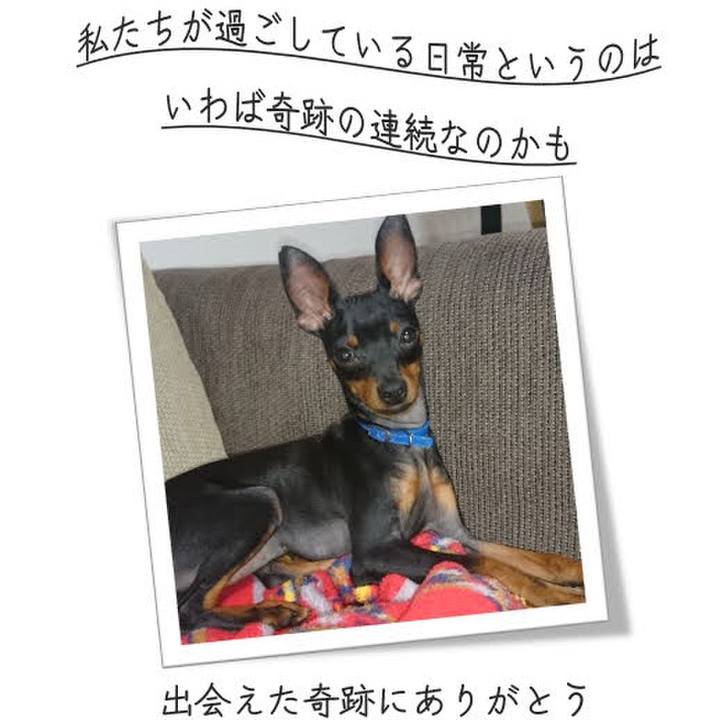 99c0274b 71fc 4bca 87a6 61b78ce80c9d 1747303156901