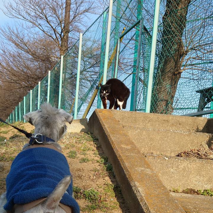 99c0433e 31b6 400c 8d4e 0da6235cc641 1772407339641