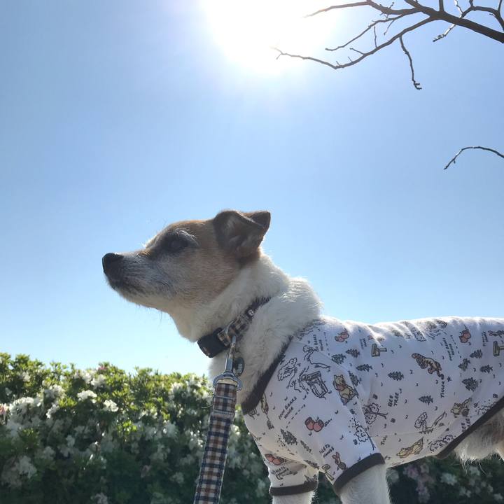 99c04959 2516 4ae8 8f88 f74860494491 1587777021227