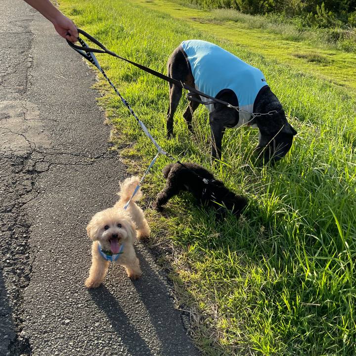 99c06467 d2b2 49c3 9218 b22969342d15 1633136578277