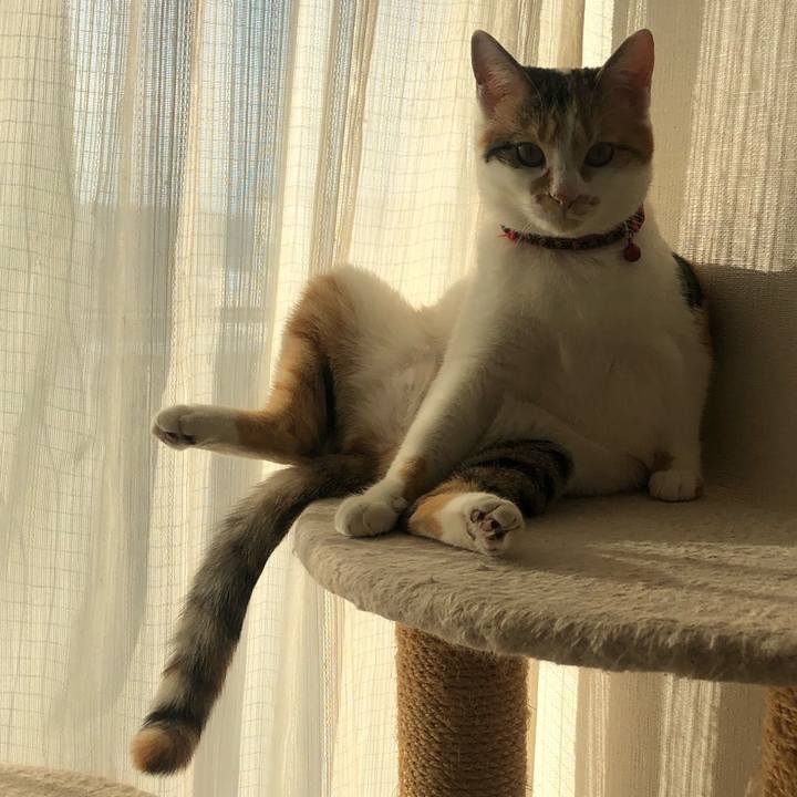 99c0cd91 4928 4fe4 b8ee 27d7ff889cb6 1579416905310