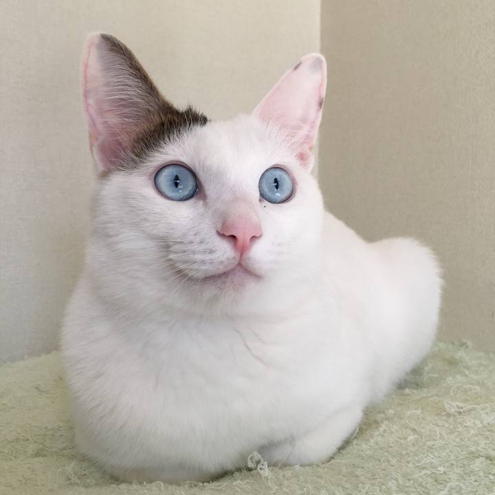 99c0d5c7 a2d7 4e02 8ab2 6b773d06e742 1543488190559