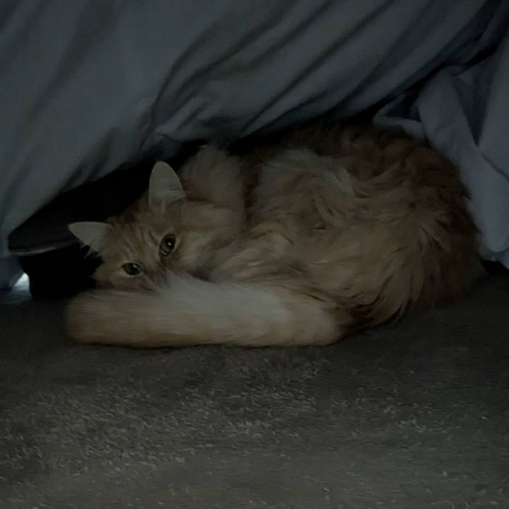 99c0f672 833d 41ab b1d2 f735154fa783 1774058595989