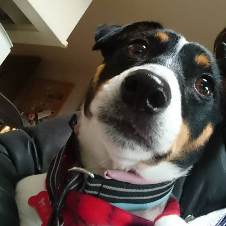 99c0f877 fdde 4ed2 b36c 7399681eda2f 1548770982376