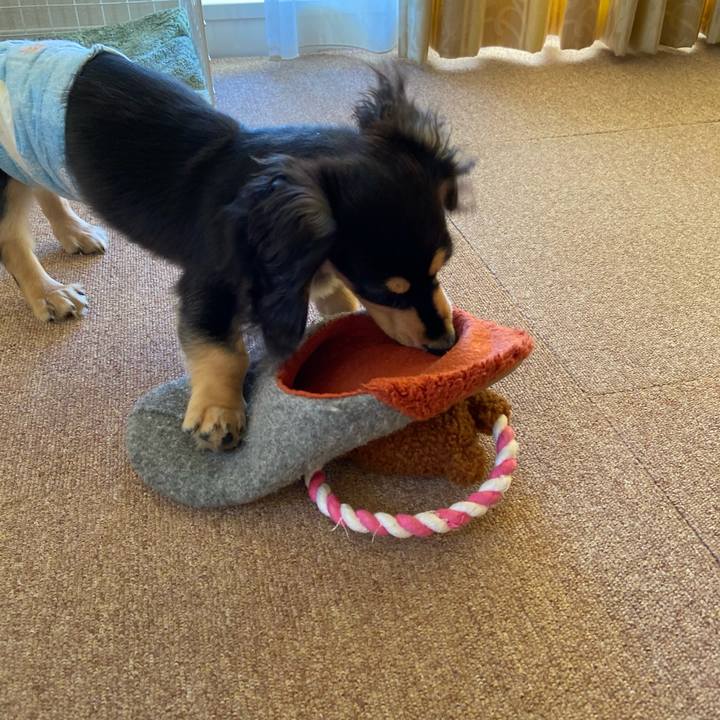 99c11c65 366e 4431 b2a3 03096c813140 1671492082680