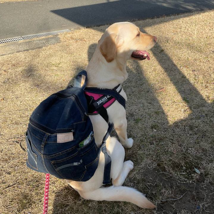 99c12fee 52e5 4416 9c1f 076464566144 1677136058706