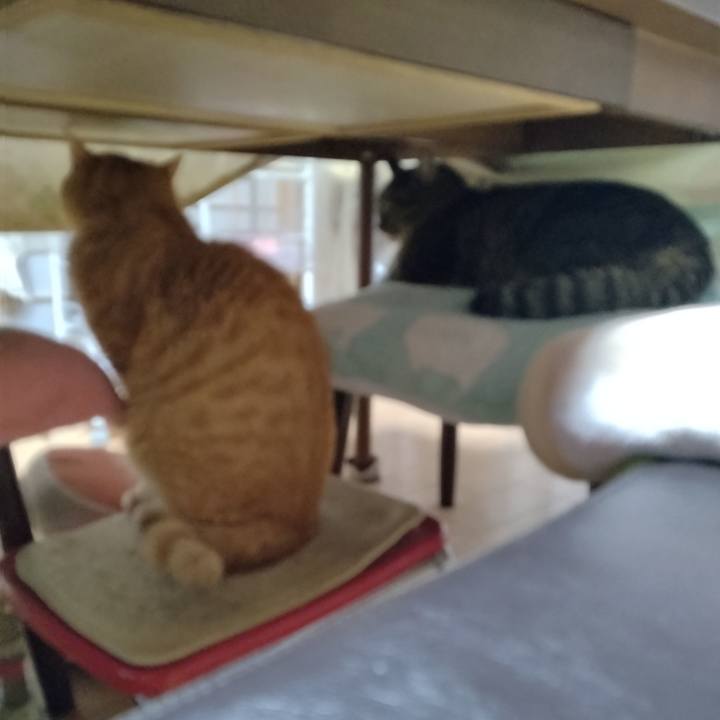 99c192e3 c138 475a a74d 531cf5f12b5c 1703981403032