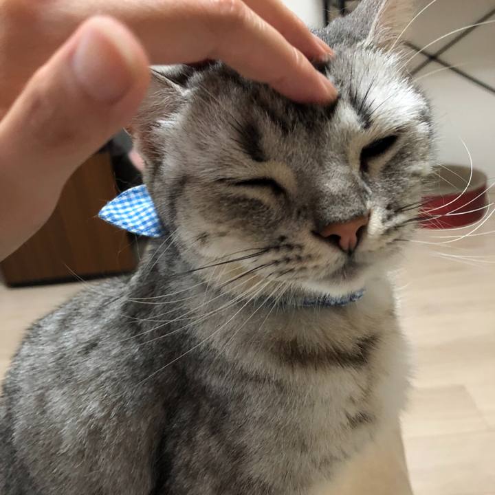 99c1aead c451 4c0b 94d3 f6f4def4ee59 1563838656509