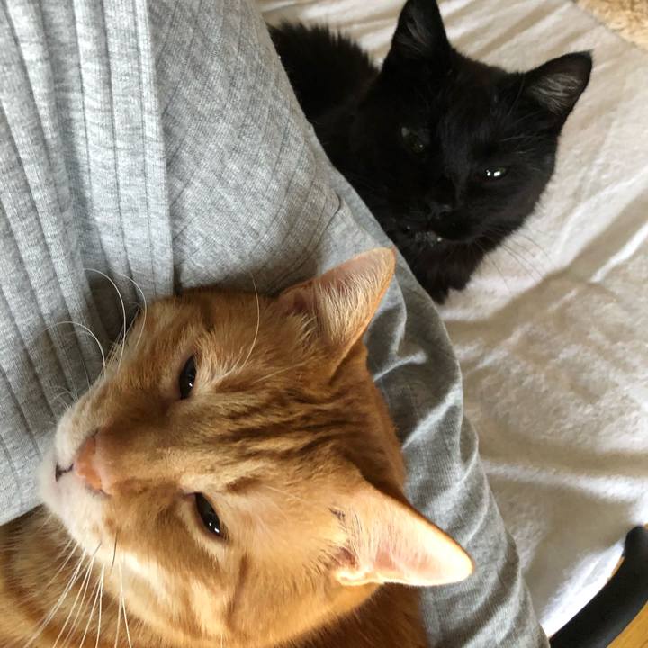 99c1c349 23be 40e7 8cd6 d1050d1fe6dc 1625175264961