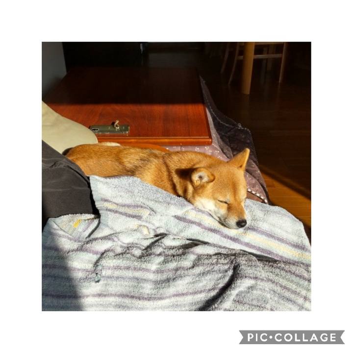 99c1d93f 9e64 4416 bacd ccf5e1dedb94 1668558137311