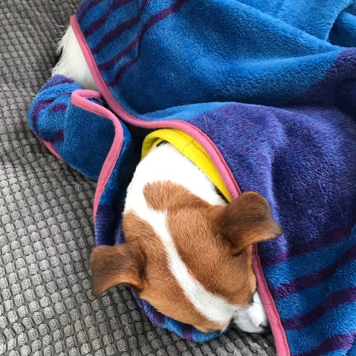 99c1ebef c192 4865 b56f b1dab135aa25 1544742793240