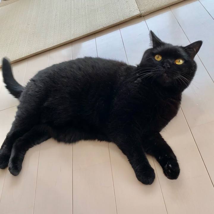 99c1f09c b115 4080 a6a3 6d065adbe09c 1660186515172