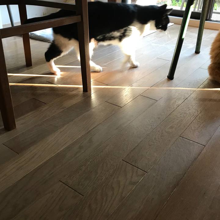 99c21499 5a12 4a01 a2af 4ad26e81245d 1513856976848