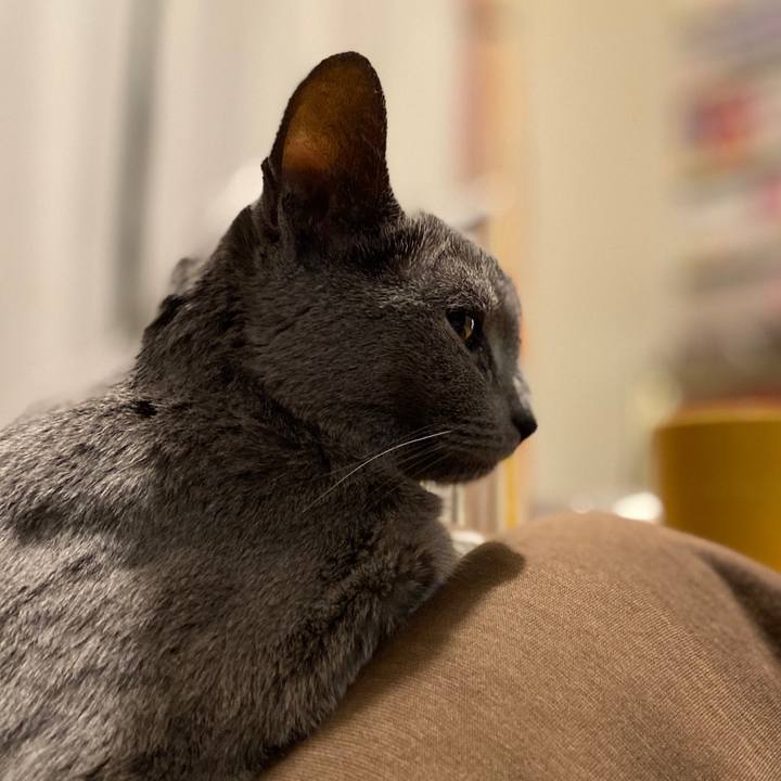 99c23a91 f2cf 4891 8ff0 0858b5c0245c 1582956169778