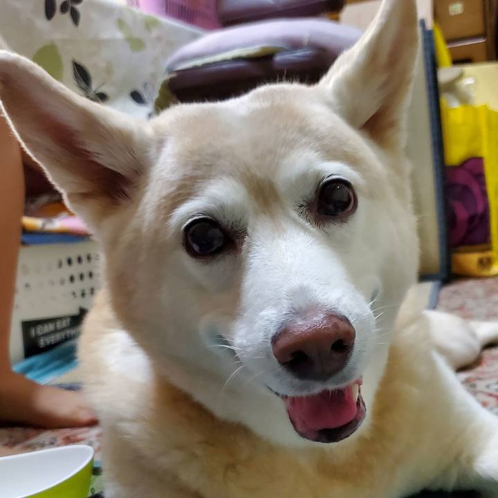 99c258b6 1965 4e40 956c d4f61bea2bea 1606155579047