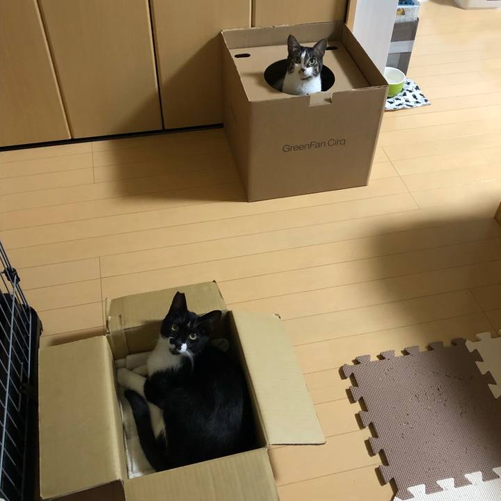 99c259f0 613b 49bb b519 2bfa782d9261 1531855464037