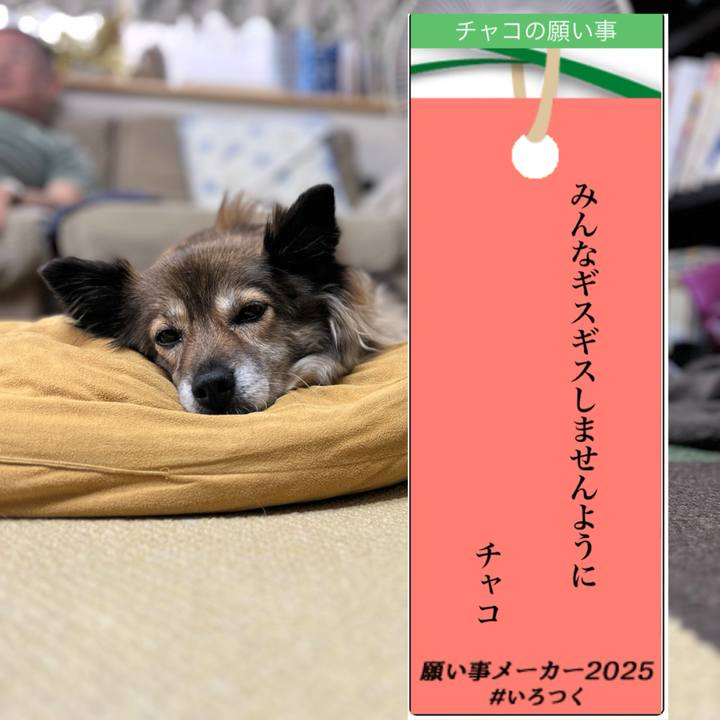 99c26dfb f437 4138 b1e8 e5959a1ae60f 1751875739794