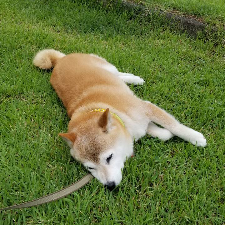 99c29ddc 003b 4e77 9a78 86f5fb0f92ac 1689144934533