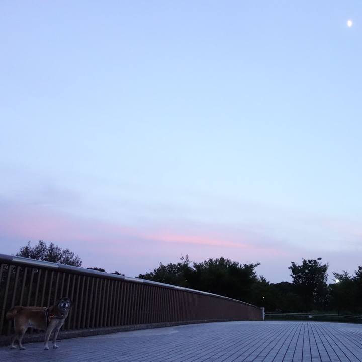 99c2ed37 9e25 4368 821a b3abaced4d6c 1534674588047