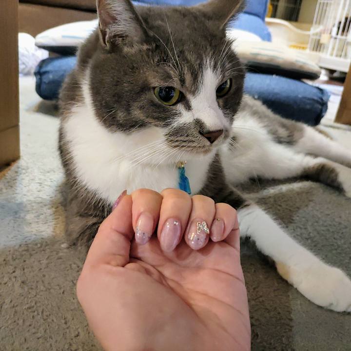 99c2f88c 92e1 472a b8c3 858e06822135 1722519686947