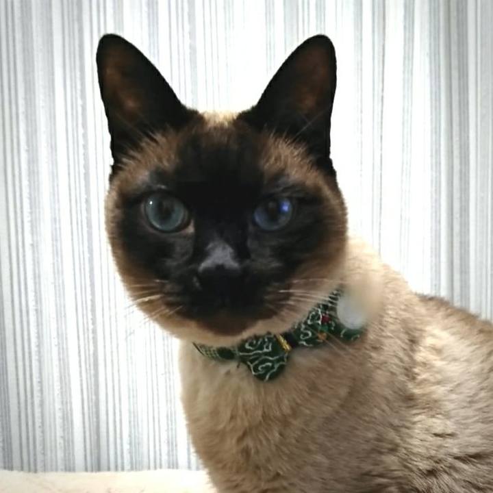 99c307b3 8039 444b 8585 f69f5a7dc6b0 1521721615651