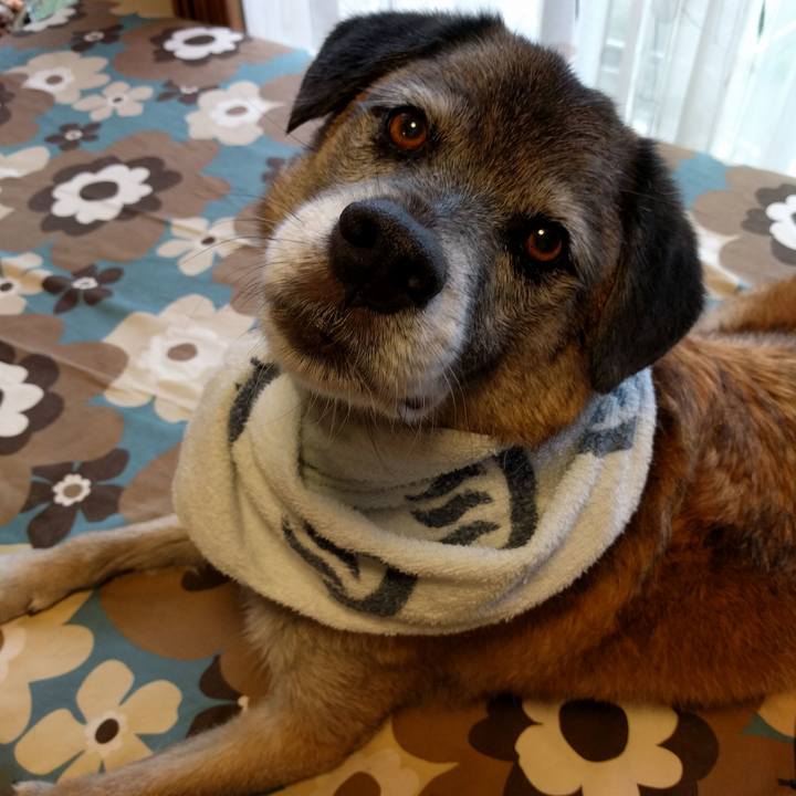 99c309a2 5d35 415e 9642 75a2db18ace5 1739322830497