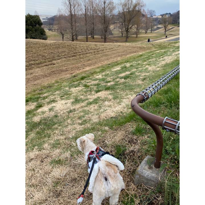 99c31580 ca10 461a b851 c3ad14200124 1578821483585