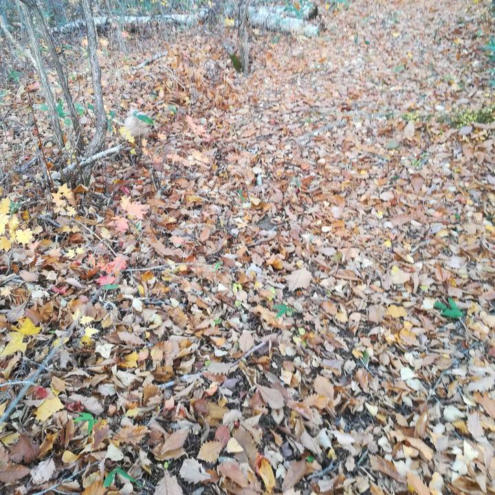 99c34713 f27d 47ff 8091 03f46def7a1b 1572143348283