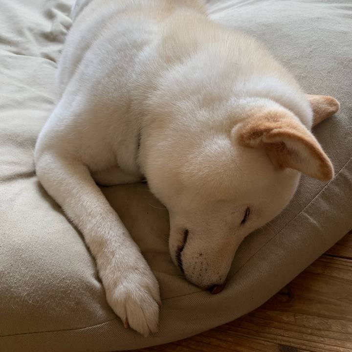 99c34967 f002 45af 8b8d 3e40c8db3e60 1590041633992