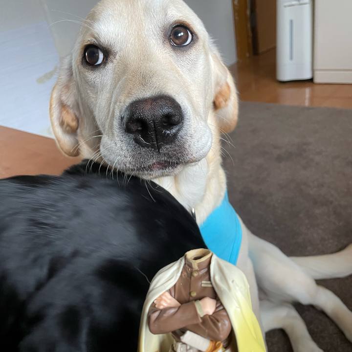 99c3571e 1176 4d54 8ff8 0d939fb5e468 1621988670954