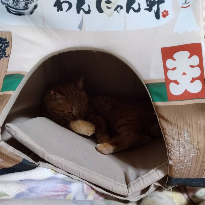 99c35f1e e887 47db aee9 196e62454bf5 1681909477237