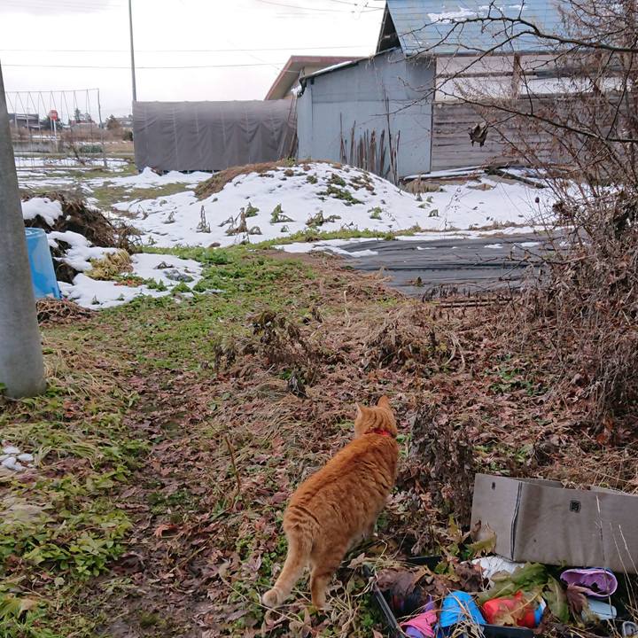 99c36e1f 4059 4c82 b033 b29ec1594f75 1578109562243