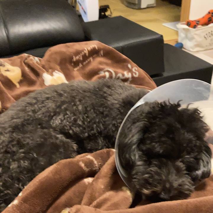 99c38cd9 d786 4937 90c8 ae0cafbbf41c 1637372266703