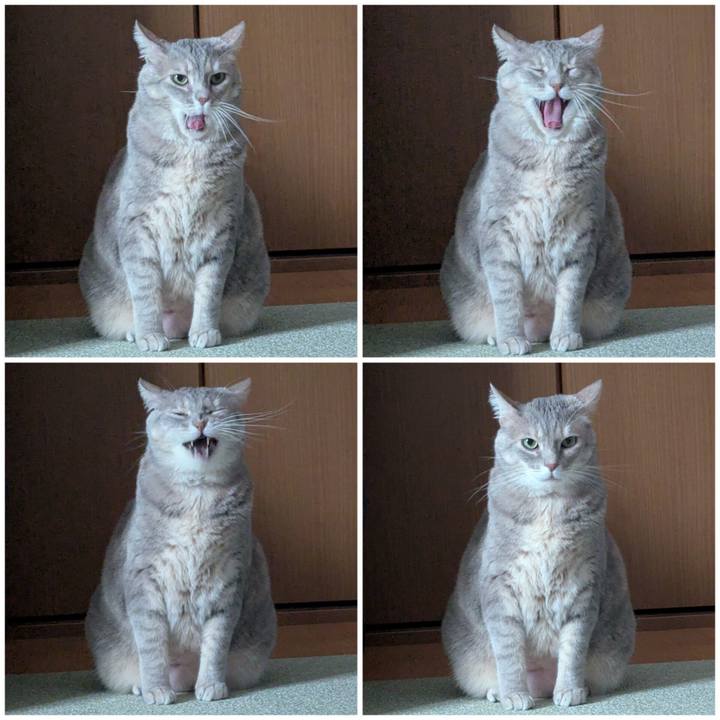 99c39b86 2b9c 423a 88ae 9925419f3402 1763163608116