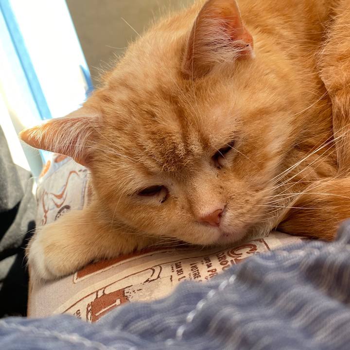 99c3a980 20fc 4726 9292 08e57ce5faad 1583208461873