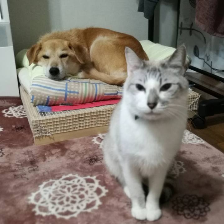 99c3e383 ab15 48ba 8ed2 4842fe366cf3 1519204035643