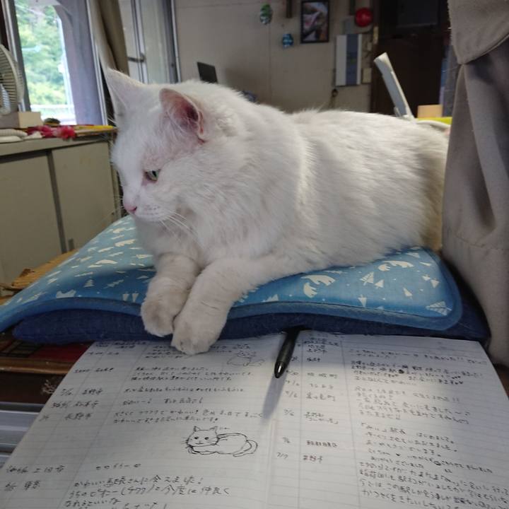 99c3eb8c 5bf5 4999 8b5b ebe52c6d92a9 1562538414871