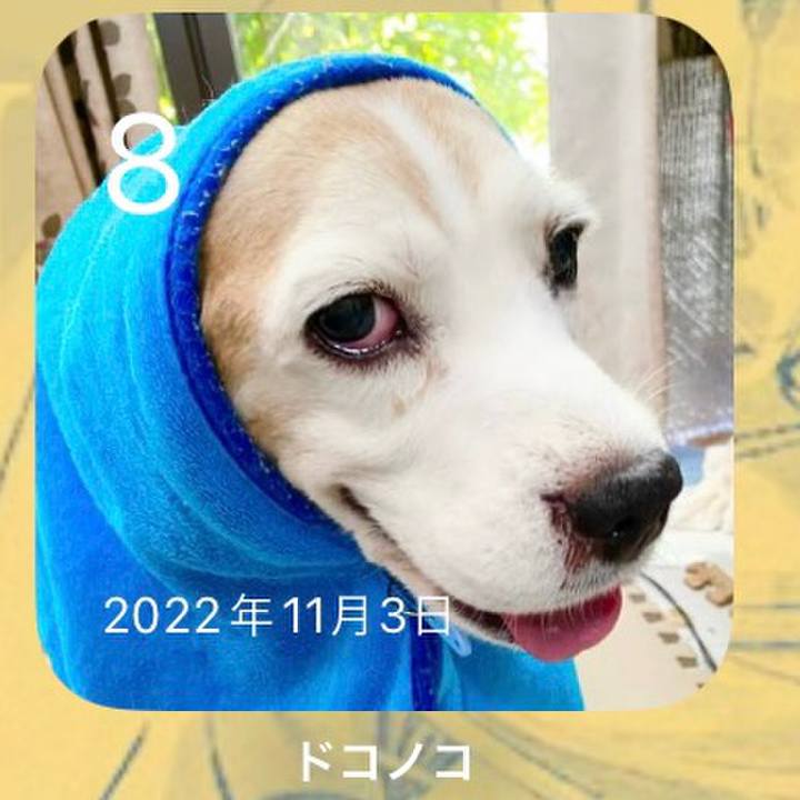 99c45ffc 0c14 477e 958f 6051f4219a4d 1699402112718