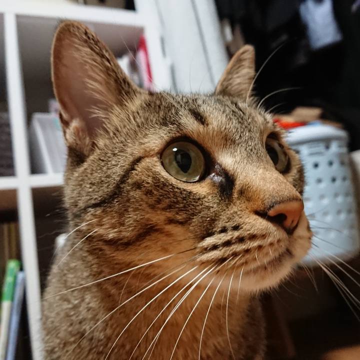 99c47113 0604 4a23 be5d e2ae80a3cb16 1566143895254