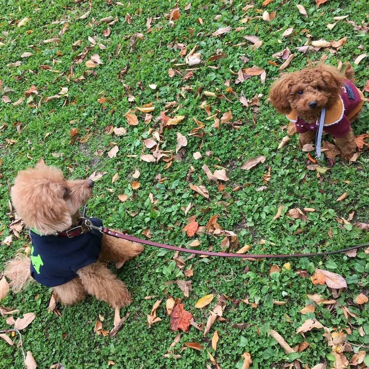 99c47d93 47ef 4fb1 8cdc 439cdaac2e7e 1509616375920