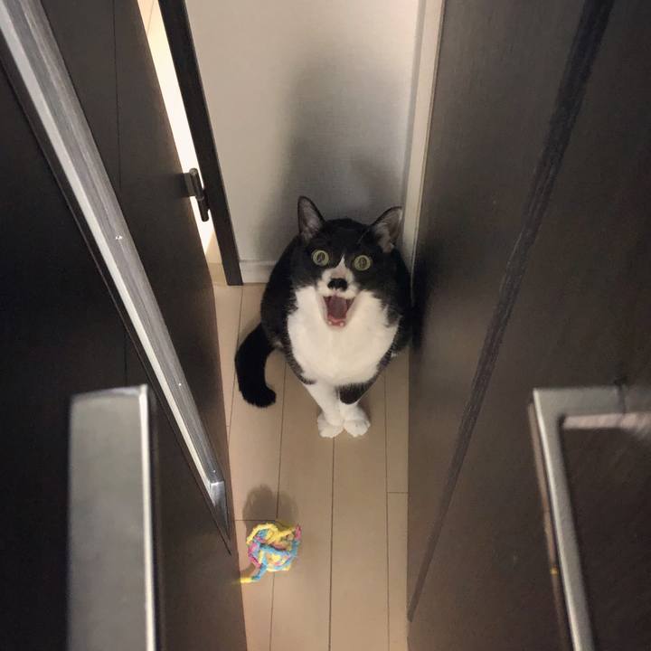 99c47dbd fdb7 4163 b7bc 9b03f0a0431d 1598968893650