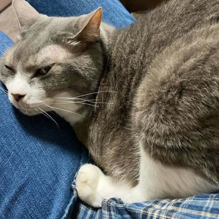 99c49c4b a537 4287 99b2 deefa8575f5c 1716703516125