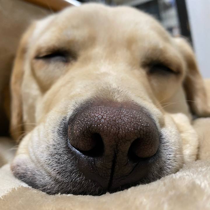 99c4aa85 1008 4644 9e0d 4ad17a7dc974 1617857698630