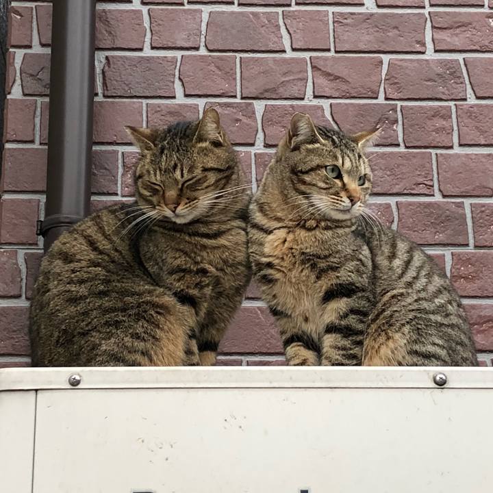 99c4b040 505f 40f0 b4f1 8a8d53c3be22 1518254133325